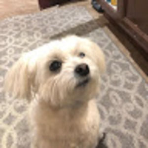 Meet your Posher, Jahnna